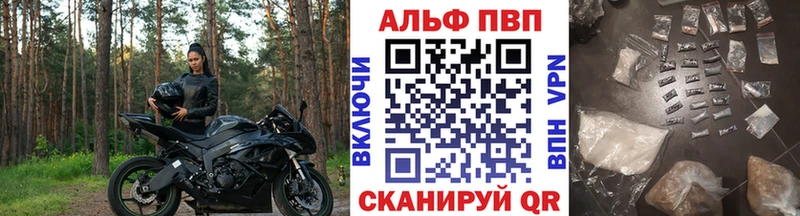 купить   Шенкурск  A-PVP Соль 