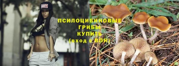 кристаллы Абаза