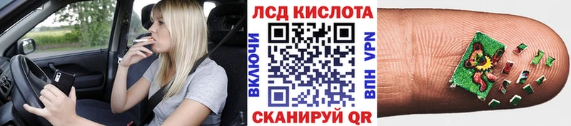 Марки N-bome 1,5мг  продажа наркотиков  мориарти как зайти  Шенкурск 